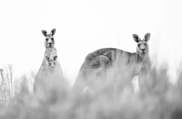 为理想奋斗的励志名言