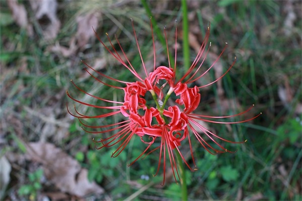 男宝宝名字（简单997个）