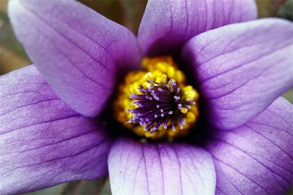 2024寒露出生的宝宝起名（通用1097个）