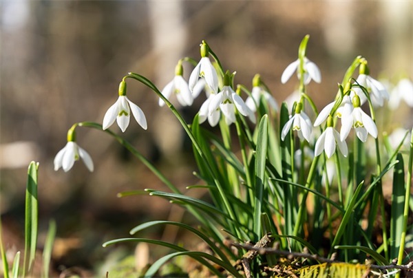 独一无二的好听女孩名（爆款1038个）