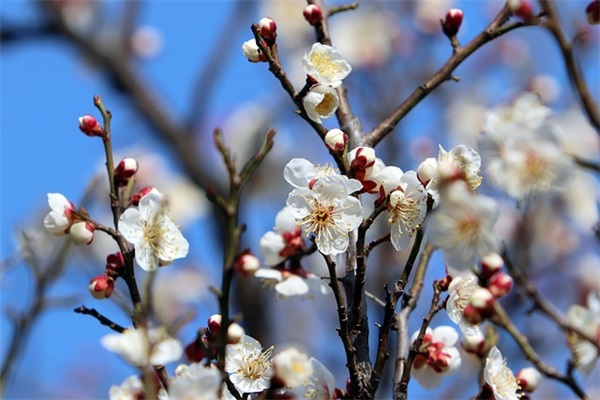 乳名小名应该起什么孩子名字呢（1017个）