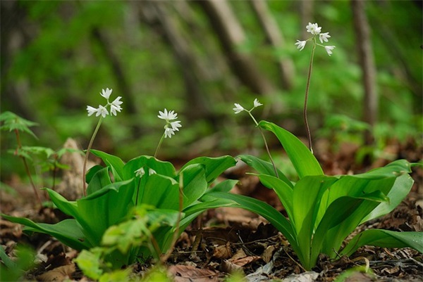 九月生的宝宝起小名（常用1018个）