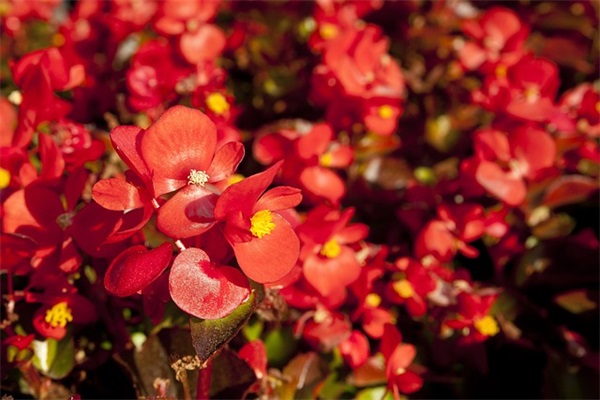 85分以上名字（推荐1074个）