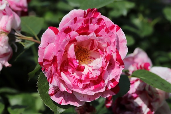 起名字2024免费起名（精选1016个）