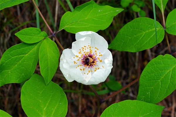 超萌女孩小名（精选合集1004个）