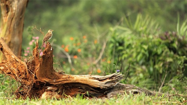 三胎起名字大全女生（优秀1048个）
