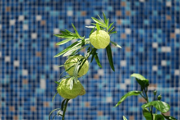 大气点的女孩名字（优选1034个）