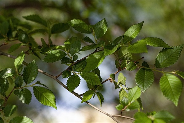 女宝起名字（分享607个）