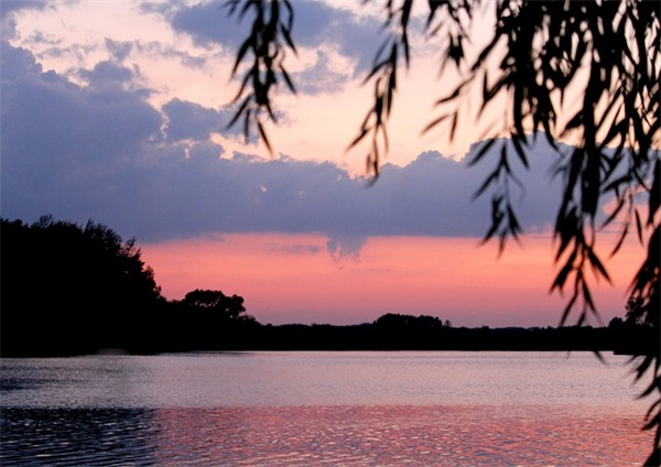 2024暑假出生的女孩小名是什么（942个）