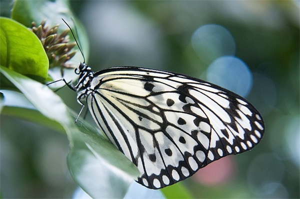 2024建党节出生的小名（精选合集892个）