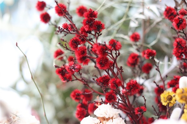 属龙的男孩霸气名字（汇集890个）