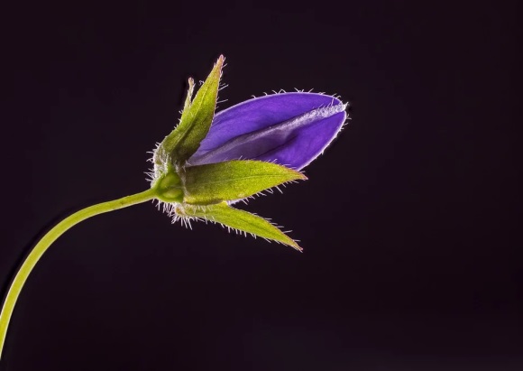 关于垂钓的名言