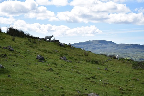 女宝宝免费起名字（精选名字880个）