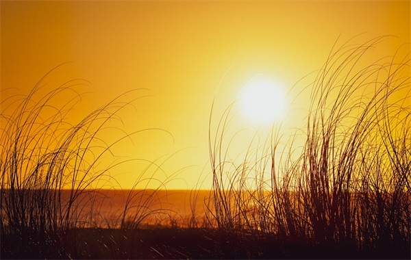 有金和土寓意好的女孩名字（865个）