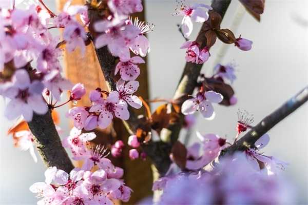 女孩响亮文雅的名字（好听904个）