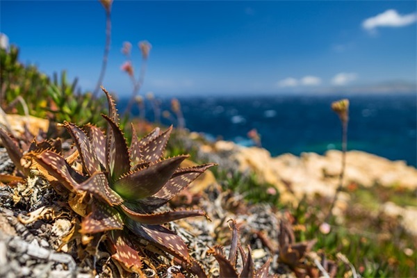 可爱调皮鲁姓宝宝的名字（793个）