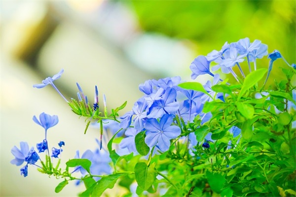 2024年名字大全免费（最新款931个）