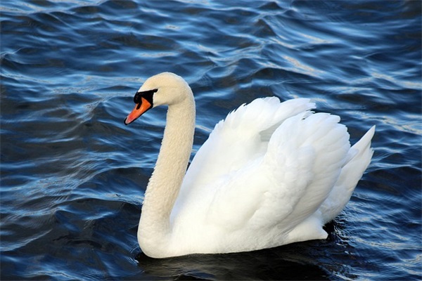 小孩子起名字大全免费（通用862个）