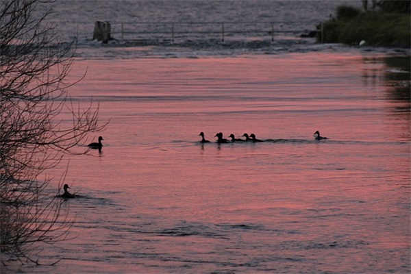 六月出生的宝宝小名通用880个