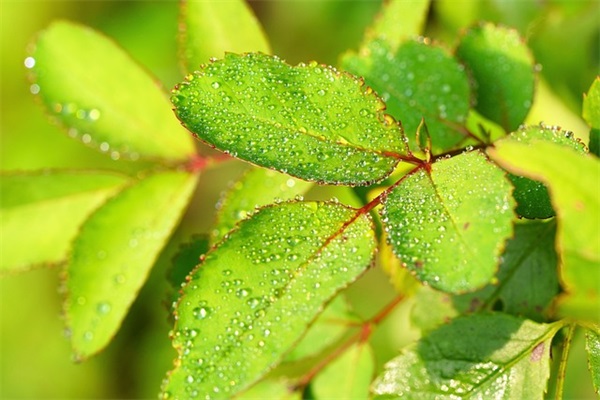 有创意的理发店名字(精选697个)