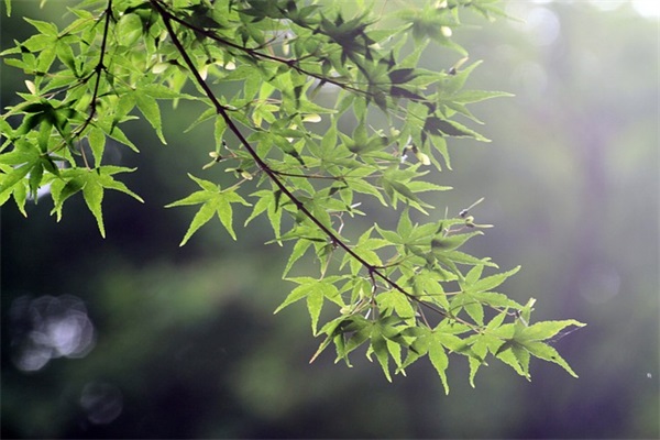 唯美简约文艺的书店名字大全