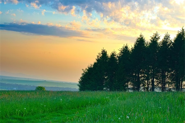 90后个性串串店名字大全(548个)