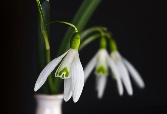 13句6个字的名言警句