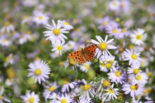 好听的衣服店铺名字(474个)