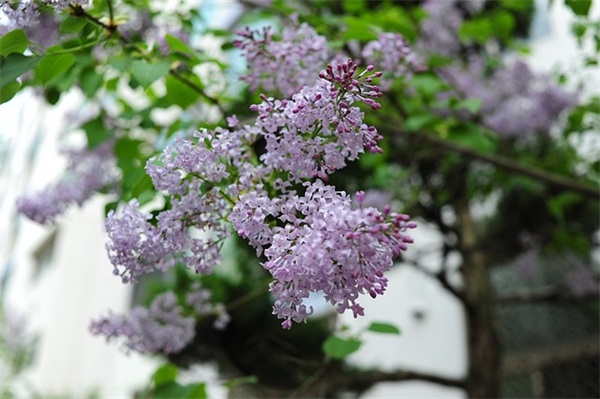 洗车店名字大全(共457个)