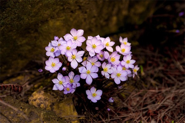 五金店名字大全(精选414个)