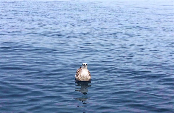 川菜馆取什么名字大全(共311个)