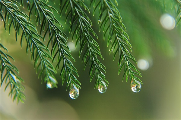 服装店铺名字怎么取比较好