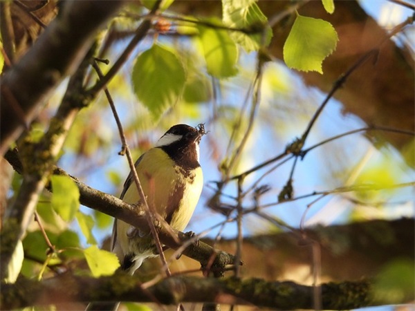 独一无二包子铺的名字(精选238个)
