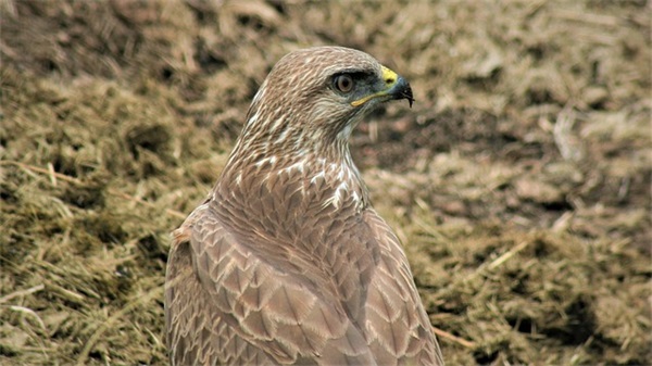 给店铺起一个吸引人的名字