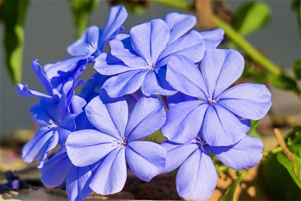 过目不忘的快餐店名字(226个)