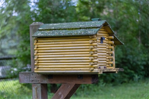 男孩名字大全2024属龙（520个）