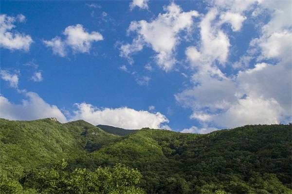 2024龙年男孩子乳名好听457个