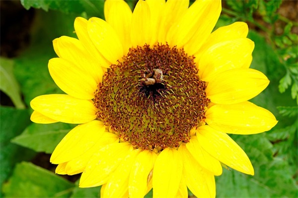 网络公司名称怎么取好