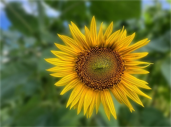 寓意好的塑化公司名字