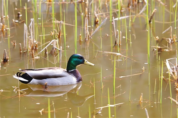 大气招财的保洁公司名字大全