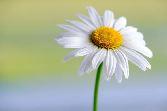 精简的励志名言