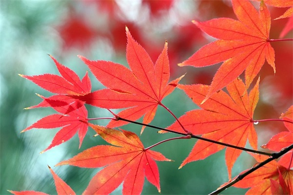 免费服饰公司取名分享