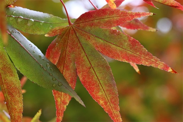 高端有内涵的服装公司名字