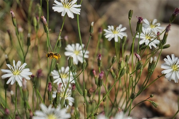好听免费的保洁公司名字