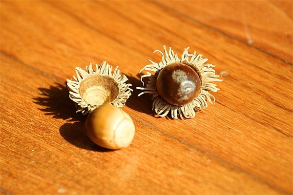 有个性的健康管理公司名字