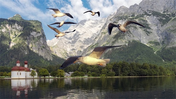 怎样给金融公司起名