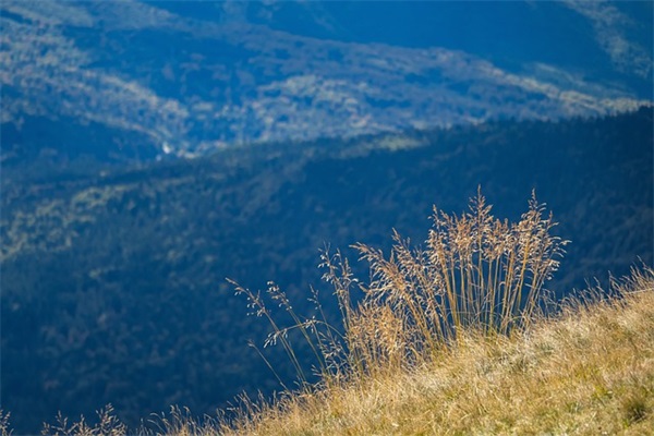 最新教育公司取名大全