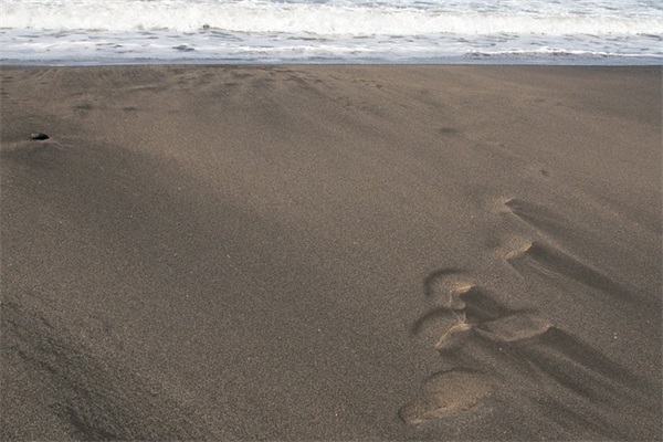 百货店铺起名大全免费