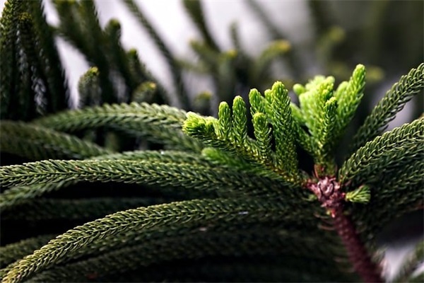 有创意的口罩网店名字(272个)