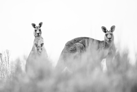 经典爱情名言：爱情名人名言名句